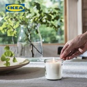 IKEA ADLAD Lilin Beraroma Dalam Gelas Wangi Hutan Skandinavia Tahan 20 Jam