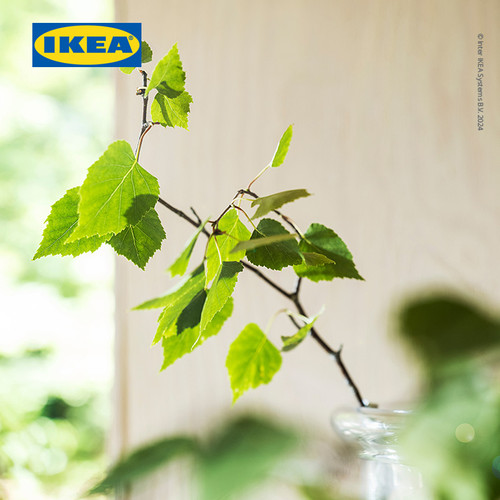 IKEA ADLAD Lilin Beraroma Dalam Gelas Wangi Hutan Skandinavia Tahan 40 Jam
