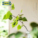 IKEA ADLAD Lilin Beraroma Dalam Gelas Wangi Hutan Skandinavia Tahan 40 Jam