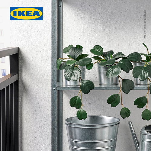 IKEA FEJKA Tanaman Hias Gantung Peperomia dengan Pot 9 cm