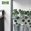 IKEA FEJKA Tanaman Hias Gantung Peperomia dengan Pot 9 cm