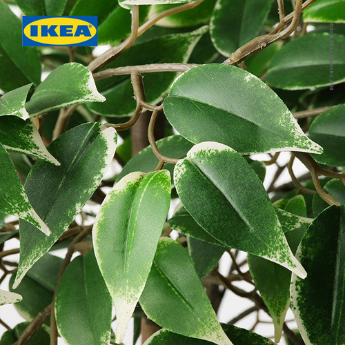 IKEA FEJKA Tanaman Hias Palsu Ficus Benjamina Exotica dengan Pot Dalam/Luar Ruangan 21cm
