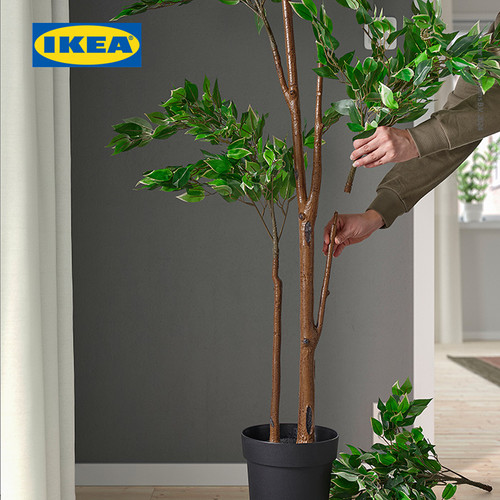 IKEA FEJKA Tanaman Hias Palsu Ficus Benjamina Exotica dengan Pot Dalam/Luar Ruangan 21cm