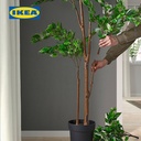 IKEA FEJKA Tanaman Hias Palsu Ficus Benjamina Exotica dengan Pot Dalam/Luar Ruangan 21cm
