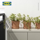 IKEA BRUNBAR Pot Tanaman Dengan Alas Bahan Tanah Liat 15 cm