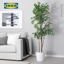 IKEA FEJKA Tanaman Hias Palsu Ficus Benjamina Exotica dengan Pot Dalam/Luar Ruangan 21cm