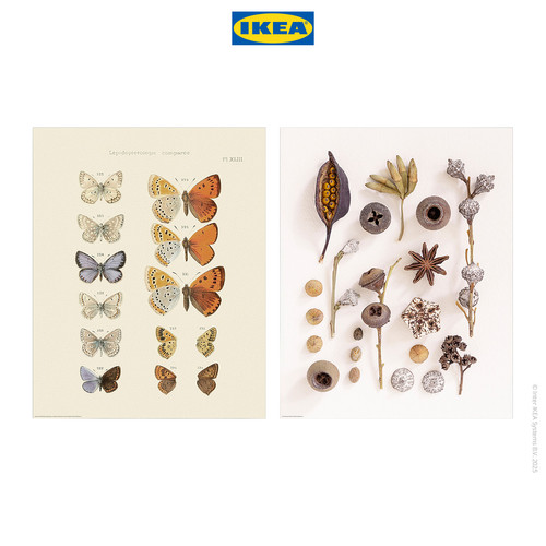 IKEA BILD Poster Gambar Kupu-Kupu dan Benih 40x50cm Isi 2pcs