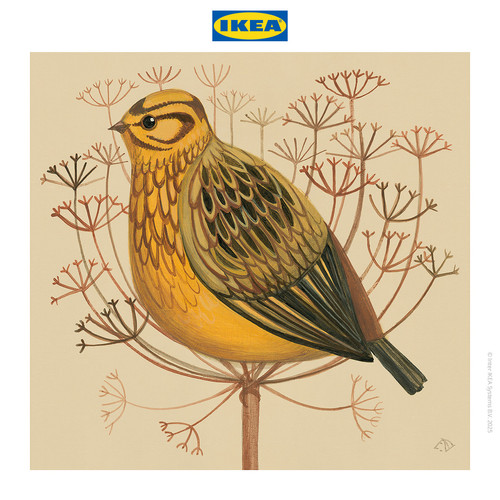 IKEA PJATTERYD Poster Gambar Burung Yellowhammer 40x40cm