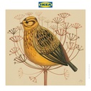 IKEA PJATTERYD Poster Gambar Burung Yellowhammer 40x40cm