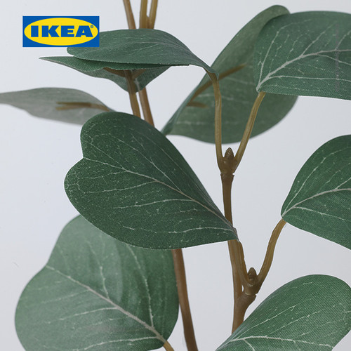 IKEA SMYCKA Ranting Hiasan Eucalyptus 29cm