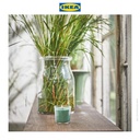 IKEA HEDERSAM Lilin Beraroma Rumput Segar/Hijau Muda Tahan 20 Jam