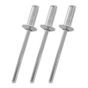 TORA Paku Rivet Warna Silver Box 429 3.2 x 7 mm