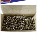 TORA Baut Ruping - Roofing Self Drilling Screw 12 x 40 mm