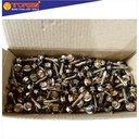 TORA Baut Ruping - Roofing Self Drilling Screw 12 x 25 mm