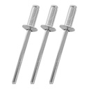 TORA Paku Rivet Warna Silver Box 435 3.2 x 8 mm