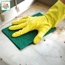 SCOURING PAD