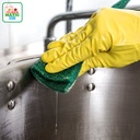 SCOURING PAD