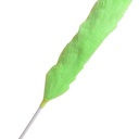 Kemoceng Import PP Duster