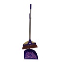 Broom 001 - Sapu Import
