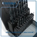 FATOOLS IX-DS19M IXION H.S.S Jobber Drill Set 1-10MM Mata Bor