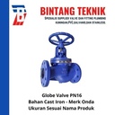 Globe Valve 10" inch Cast Iron Onda PN16