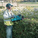 Makita Hedge Trimmer Cordless DUH651Z 18V Mesin Potong Dahan + Baterai