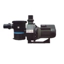 Emaux Pompa Kolam Renang SB-20 2 HP 2 Inch Swimming Pool Pump