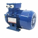 ADK Mesin Penggerak Dinamo Electro Motor 3 HP 3 Phase 4 Pole