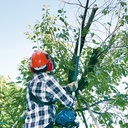 Chainsaw Bensin MAKITA EY2650H25H Gergaji Dahan Pole Hedge Trimmer
