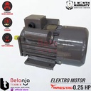 Maestro Elektro Motor 0.25 HP YC 71-4 Dinamo Listrik