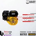 Firman Mesin Concrete Vibrator Pemadat Cor Beton SFE 160 Selang 4Meter