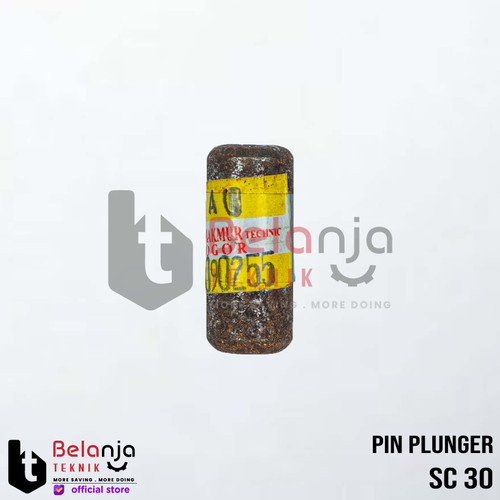 Sanchin Pin Piston SC 30 SCN 30 Pin Plunger SC30 SCN30 Pen Piston