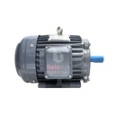 Mesin Dinamo - Electro Motor Fukuta 5 HP 3 Phase 4 Pole