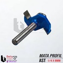 Mata Profil 0.25 X 08 Mm - Ast - Slotting Bit