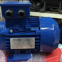 Bologna Mesin Dinamo Electro Motor 0.5 HP 1 Phase 4 Pole 1/2HP