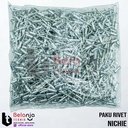 Tyrex Blind Rivets 640 Paku Rivet Ukuran 4.8 X 11 MM Rivetti 500 Pcs