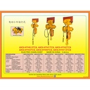 ELECTRIC CHAIN HOIST 5 TON 6 METER 380V WITH TROLLEY 1 - 7.5 TON