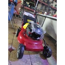 Mesin Potong Rumput Dorong Lawn Mower Engine Briggs & Stratton USA