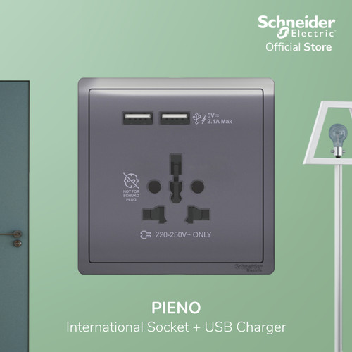 Schneider Electric Pieno Int Socket 16A USB 2.1A - E8242616USB_LS