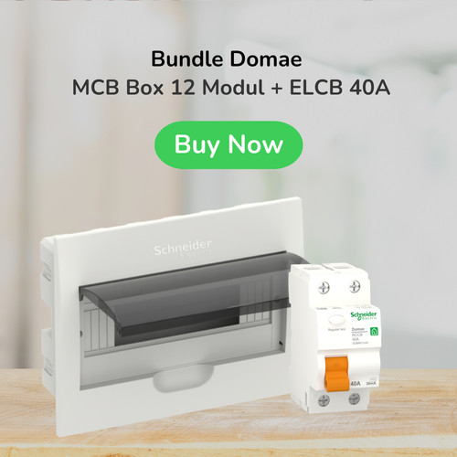 Schneider Electric MCB Box Domae 12 modul - DOMH12112F (1pcs) + Domae RCCB/ELCB 40A 2P - DOM16793 (1pcs)