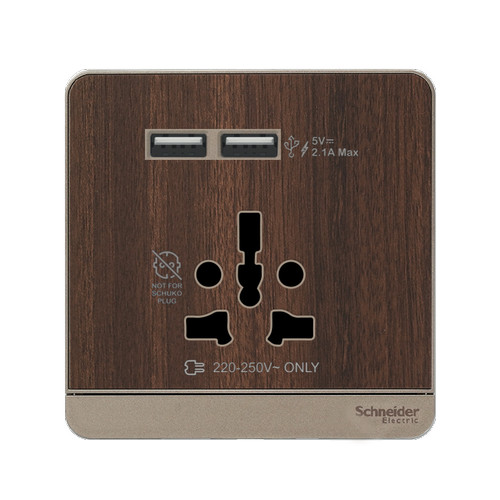 Schneider Electric AvatarOn Int Socket 16A USB 2.1A - E8342616USB_WD