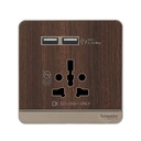 Schneider Electric AvatarOn Int Socket 16A USB 2.1A - E8342616USB_WD