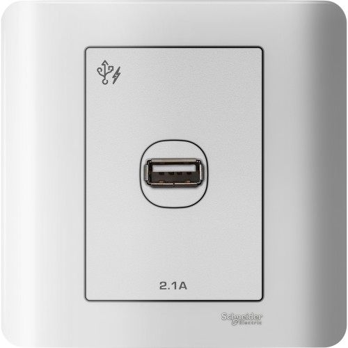 Schneider Electric ZENcelo USB Charger 1 Gang - E8431USB_WE