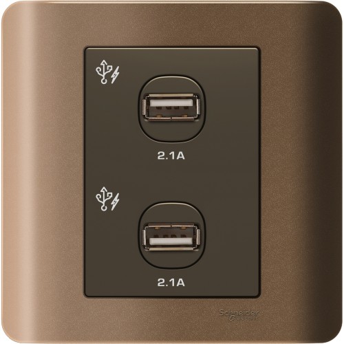 Schneider Electric ZENcelo USB Charger 2 Gang - E8432USB_SZ