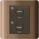 Schneider Electric ZENcelo USB Charger 2 Gang - E8432USB_SZ