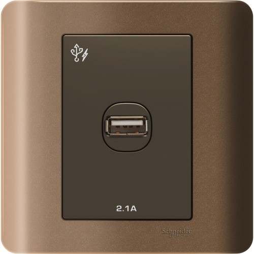 Schneider Electric ZENcelo USB Charger 1 Gang - E8431USB_SZ