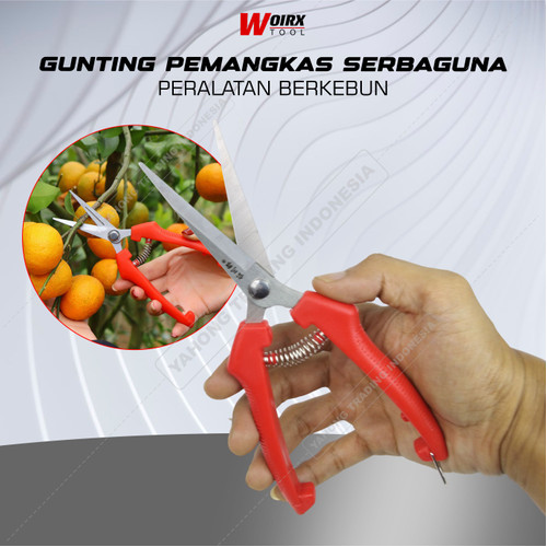 Gunting Pruning Buah Bonsai Dahan Daun Bunga Kertas Seng Sebaguna