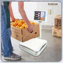 Timbangan Digital PANDA SCALE 60kg 5g Timbangan Laundry Buah Paket