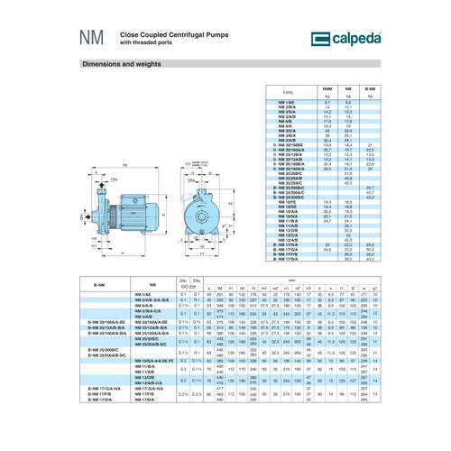 Mesin Pompa Air Transfer Centrifugal Water Pump Calpeda NM 25/12 AE