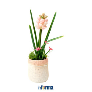 Informa 120X200 cm Set 5 Pcs Seprai Double Anak Microfiber Rocket